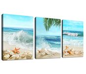 Beach Canvas Wall Art Blue Sea Tropical Beach Landscape Canvas Pictures for Wall Decor Seashell Seastar Conch on Sands Canvas Prints Artwork for Bathroom Living Room Wall Decor 30 X 40 CM X 3 Pieces