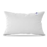 Five Star Hypoallergenic Pillows