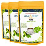 Guava Leaves Tea 60 Tea Bags Pure Guava Leaf Diabetic Diet weight Management Herbal Tea