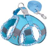 DoggieKit Dog Harness for Small Medium Dogs No Pull Adjustable Step in Puppy Harness and Leash Set,Reflective Breathable Mesh Pet Harnesses Soft Padded Vest for Dogs Easy to Put on