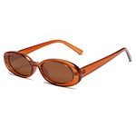 VANLINKER Polarized Retro Oval Sunglasses for Women and Men Small 90s Style VL9580, C3 Brown Tinted Frame/Lens, Small