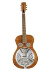 Epiphone DWHOUNDLX Dobro Hound Dog Deluxe Round Neck Acoustic Electric Guitar