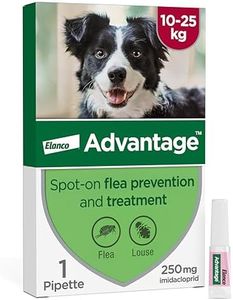 Advantage Spot On Flea Treatment For Large Dogs 10 - 25kg (1 pipette, 250mg), Kills Fleas Within 24 Hours, Prevents Further Infestation For Up To Four Weeks