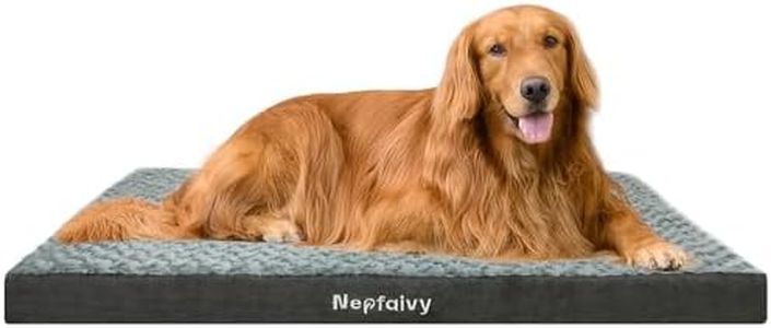 Nepfaivy C