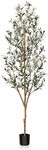 Kazeila Artificial Olive Tree 6FT T