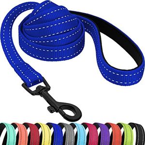 CollarDirect Nylon Dog Leash 5ft for Daily Outdoor Walking Running Training Heavy Duty Reflective Pet Leashes for Large, Medium & Small Dogs (Blue, Medium)