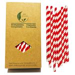 Red and White Striped Paper Drinking Straws,100% Biodegradable Disposable Food Grade Paper Straws Bulk 100 for Cocktail, Coca Cola, Daily Use