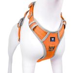 HANK Harness for Dogs Large Size - 3M Night Reflective - Adjustable Pet Belt - Chest (Min 27 - Max 32" inches) (Large, Orange - Grey Design)