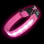 PetIsay Light up Dog Collar - High Visibility & Durable Nylon Material - USB C Rechargeable & Waterproof LED Dog Collar for Night Walking,Lighted Dog Collar Glow in The Dark Flashing(Pink,L)