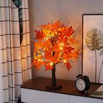 MEDOYOH 24LEDS Maple Leaf Tree Light, 60cm/23.62in Height Warmwhite Maple Leaf Table Light Up Tree, AA Battery Included/USB Powered Tree Lamp Indoor