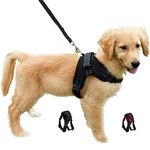 Dog Harness Adjustable No Pull Puppy Vest Harness Mesh Breathable Soft Padded Pet Chest Strap for Small Dogs (XS, Black)