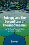 Entropy and the Second Law of Thermodynamics: ... or Why Things Tend to Go Wrong and Seem to Get Worse