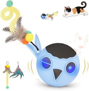 Zeepet kat