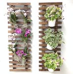 Planters With Trellis