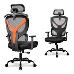 Winrise Office Chair Ergonomic Desk Chair Comfy Computer Chair, Big and Tall Home Office Chair with Back Support, Mesh Office Chair High Back Gaming Chair with Adjustable Armrest (Orange)