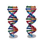 Vaguelly 2pcs Science Toy DNA Model