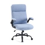 CASTLOVE Ergonomic Office Chair for Home - Computer Desk Chair with Back Support - Flip Up Armrest - High Back - Height Adjustable - Tilt Function (Fabric Office Chair Blue Max 150 kg)