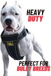 Dog Vest Harness Padded Adjustable Heavy Duty Attachment Links Strong Dog Harness Step in Dog Harness Large Dogs Sturdy Enough for Any Breed | Pitbull Boxer Husky Rottweiler Belgian Malinois Bulldog