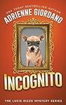 Incognito: Misadventures of a Frust