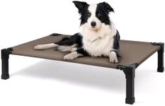 Cooling Elevated Dog Bed, Raised Do