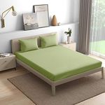 Wakefit Wakefit 300TC 100% Cotton Premium Double Bedsheet (100x90 Inches) / (2.54m*2.29m) with 2 Pillow Covers Free, Plush Green