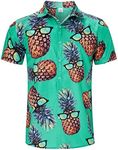 Men's Glasses Pineapple Hawaiian Sh