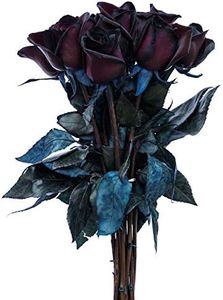 Black Roses Bouquet by Flower Explosion | Real Fresh Tinted Black Roses 12 Stems