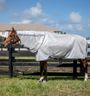 Horseware® Amigo® Bug Rug Plus Fly Sheet - Silver/Titanium Grey & Silver, 78