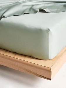 Linen House 500TC Cotton Sateen 50cm Fitted Sheet, Queen, Green Gum