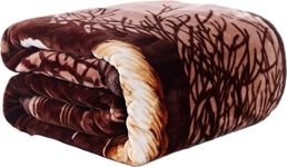 Hiyoko Wild Animal Print Tiger Blanket 8LBS, Tv, Cabin, Couch, Plush Velvet Fleece Microfiber. Queen King Bed, 79" wx95 h, Silky Mink Cozy, No Shedding, Lints-Less