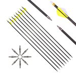 6pc 25-Inch Spine-500 Arrow Removable Tips Targeting Hunting Arrow Plastic Fletching 2 Inch Vane Carbon Arrows for Compound Bow Recurve Bow Adult Youth Archery Yellow White