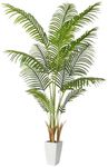 Alupssuc Tall Artificial Palm Tree 5ft with White Planter, Large Indoor Tropical Faux Dypsis Lutescens Tree, Real Touch Silk Areca Palm Tree 12 Detachable Trunks, Perfect for Home Housewarming Decor
