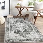 Moynesa Washable 3x5 Entrance Rug, Grey Boho Mats and Rugs for Entrance Door, Vintage Pet Friendly Small Carpet for Living Room, Non Slip Distressed Throw Carpet for Bedroom Bathroom Office (Grey,3x5)