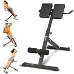 Lifepro Foldable Roman Chair Hyperextension Bench & Dip Station - Multi-Purpose Workout Chair & Back Extension Bench for Upper Body, Lower Body, & Core Strength Training - 330 Lbs Weight Capacity