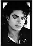 Braj Art Gallery Michael Jackson Framed Photo_Size 13.5X19.5 Inches