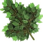 DIKANSHA 6 Pcs Artificial Ficus Tree Leaves Branches | Silk Green Leaves Plants for Wreath Benjamina Tree Indoor Outdoor Porch DIY | Wedding Bouquet Party Farmhouse Wall Decor (Green Color)