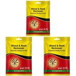 Go Well Weed and Root Remover 100G Ready to Use | Fast Acting Deep Penetrating Formula | Removes Weeds from Root for Garden, Lawn, Driveways, Pathways & Outdoor Areas (Pack of 3)