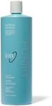 Hard Water Shampoo by Ion