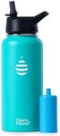 Clearly Filtered 32oz Water Bottle/Targets 220+ Contaminants/Double-Wall Insulated Stainless Steel Filtered Water Bottle BPA/BPS-Free Phthalate-Free Filters Fluoride Lead Chlorine (Teal Blue)