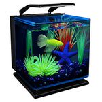 GloFish Betta Aquarium Kit Includes LED Lighting and Filter, 3 Gallon, 6.26 LB, AQ-78336