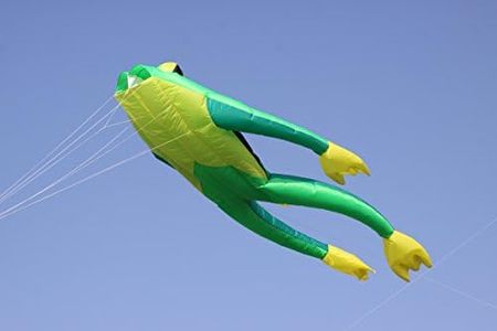 Wolkenstürmer Fritz The Frog Cerf-Volant Simple Ligne sans perches