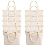 10 Pack Canvas Totes Bag with Zipper, Blank Reusable Grocery Shopping Tote Bags for Women Men Kitchen DIY Advertising Promotion Gift Giveaway Activity - 16.5 x 13.4 Inch