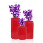 Lasaki Evelyn red Set of 3 Ceramic Flower Vase for Living Room, Bedroom, Dining Table, Home Decoration (Flowers not Included)