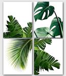 Monstera, Banana, Palm Leaves, Set Of 4 Tropical Prints, 8 x 10 Inches, Unframed