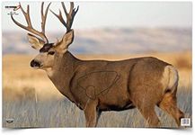 Birchwood Casey 37482 EZE-Scorer Mule Deer Paper Target (2 Count), 23 x 35