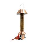 Roamwild Squirrel Proof Wild Bird Feeder PestOff - Antique Copper Finish (Mixed Seed/Sunflower Heart Feeder)