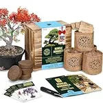 Bonsai Tree Seed Starter Kit - Mini
