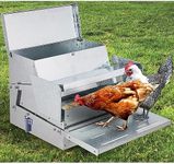 Domenow Chicken Treadle Feeder, Poultry Feeder, 30lbs Automatic Chicken Feeder with Sides Buffer System, for 15-20 Chickens