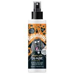 BUGALUGS Dog Cologne perfume Spooky Edition Pumpkin Latte- vegan dog deodorant deodoriser spray use with our professional groom Dog Shampoo For Dogs, Cats & Pets (Cologne 200ml)