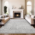 Soalmost 8x10 Area Rugs for Living 